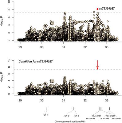 Human Leukocyte Antigen Fine-Mapping and Correlation Analysis of Han and Minority Leprosy Patients in Southern China